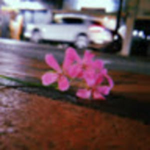 Meet your Posher, Sandy